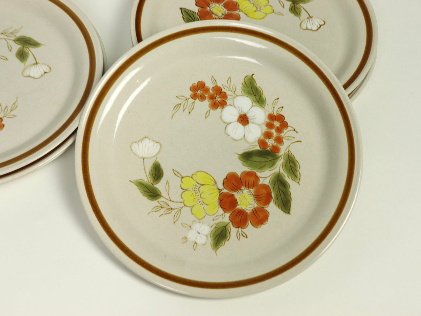 Mountain Wood Collection, Stoneware Dinner Plates, Microwave and Dishwasher Safe, 1970's Vintage