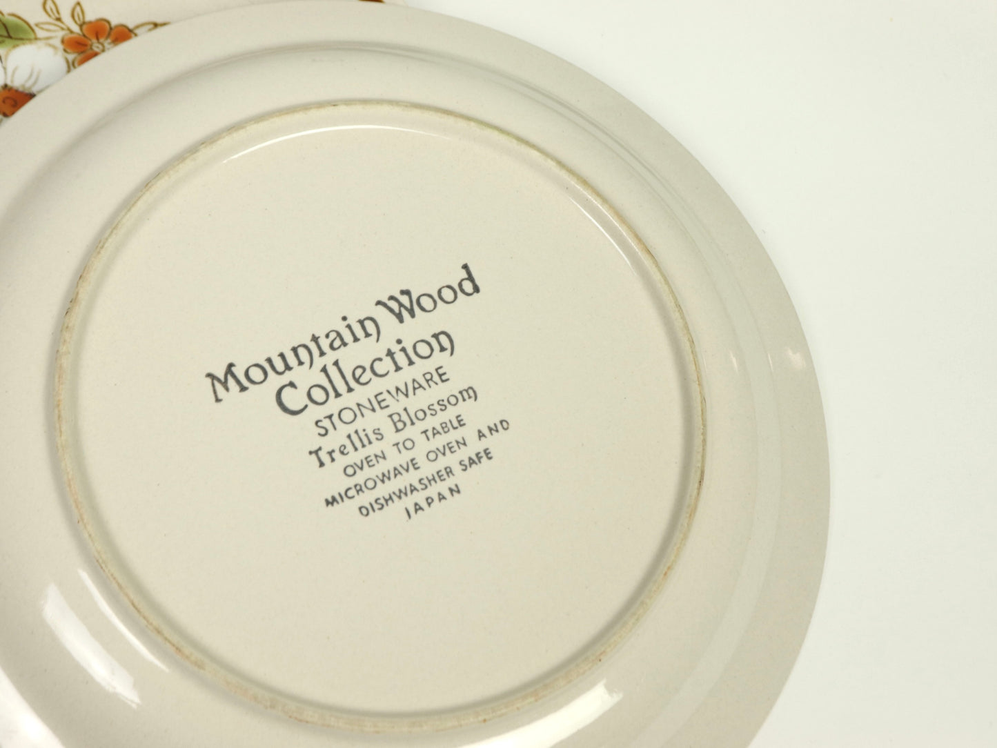 Mountain Wood Collection, Stoneware Dinner Plates, Microwave and Dishwasher Safe, 1970's Vintage